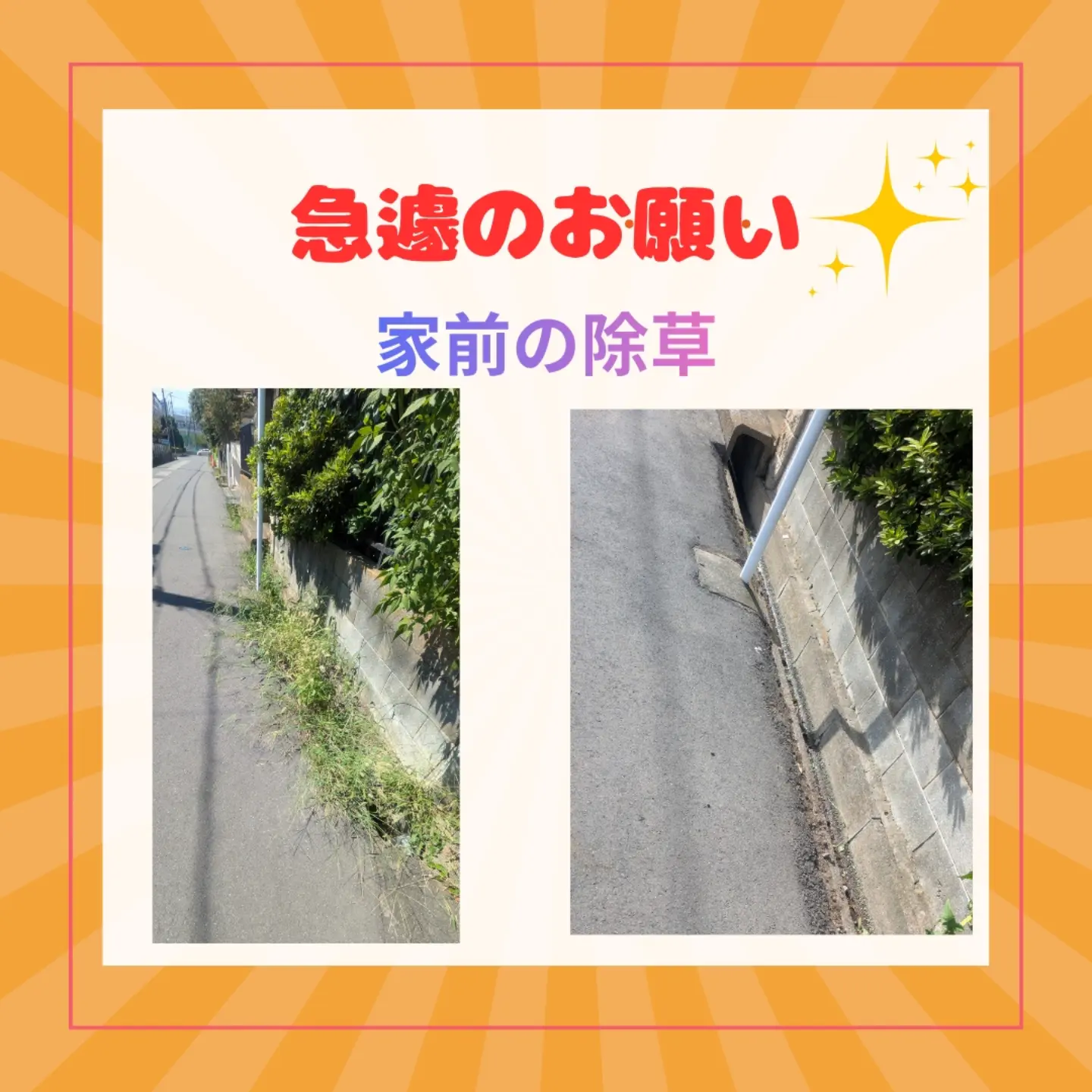 公式Instagram投稿：除草作業の投稿